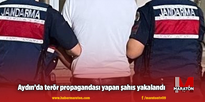 Aydın’da terör propagandası yapan şahıs yakalandı