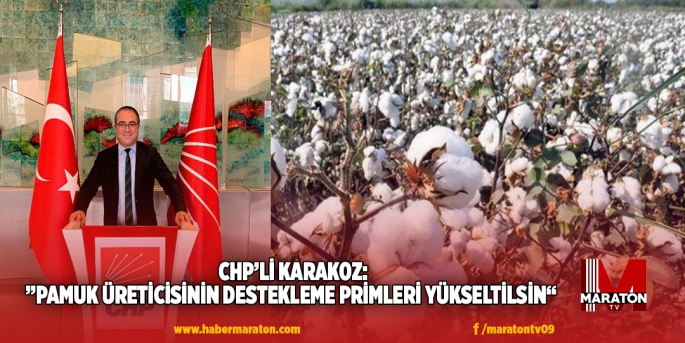 CHP'li Evrim Karakoz;